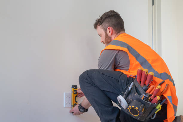 Best Ceiling Fan Installation Electrician  in Goodview, MN
